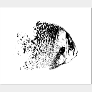 Fish Posters and Art